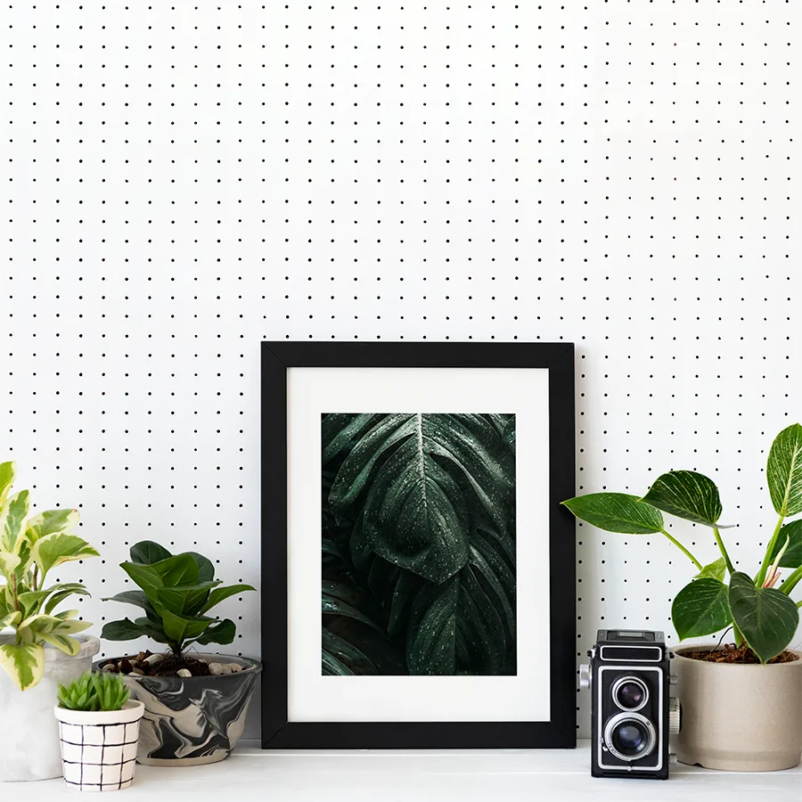 How to Choose A4 Paper Size Picture Frames in 2025